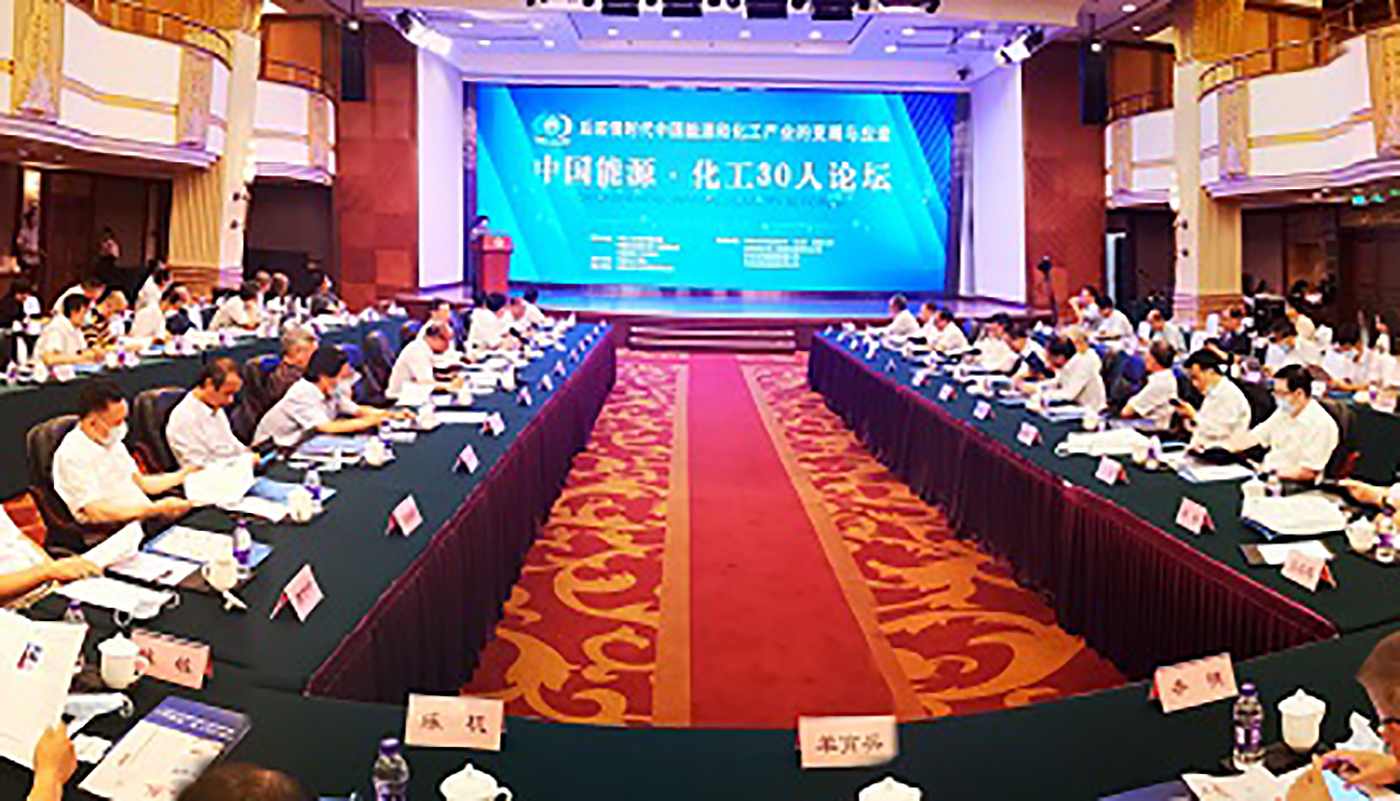 金句来了！第二届“中国能源·化工30人论坛”专家观点集萃