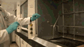 131.gif
