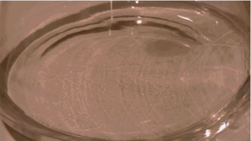 9.gif