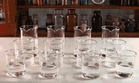 17.gif