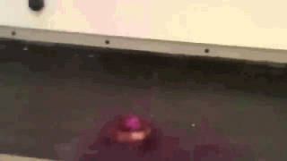 242.gif