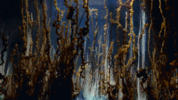24.gif