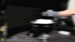 31.gif