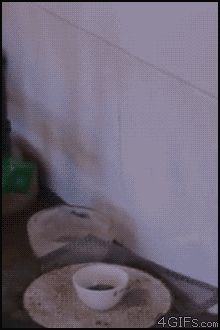 16.gif