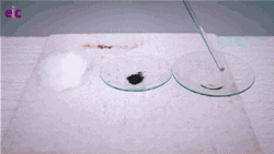 29.gif