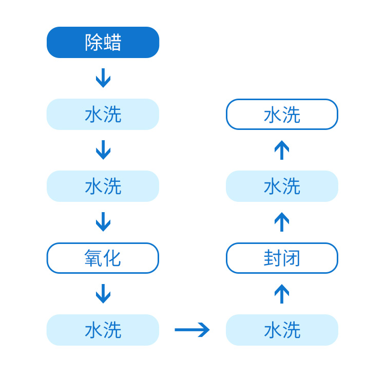 P11_m.jpg